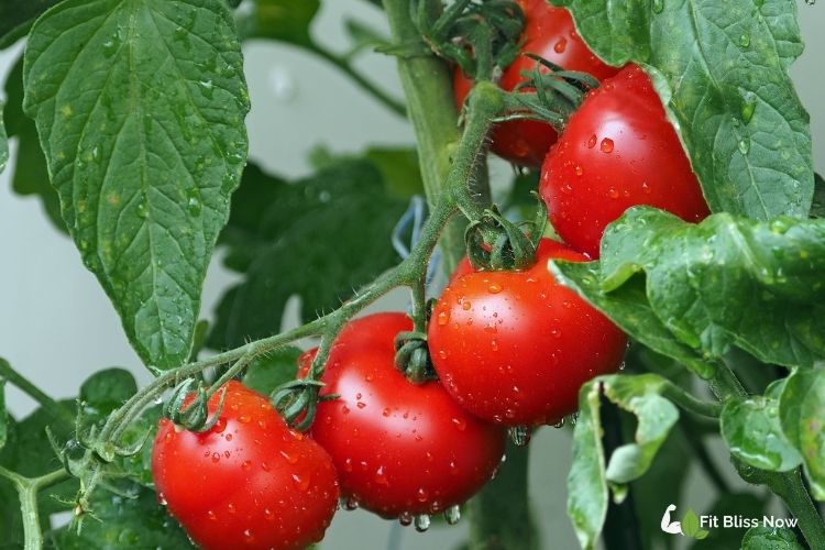 10 Foods You Can Eat in Large Amounts Without Gaining Weight