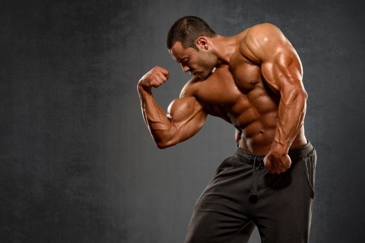 bcaa-muscle