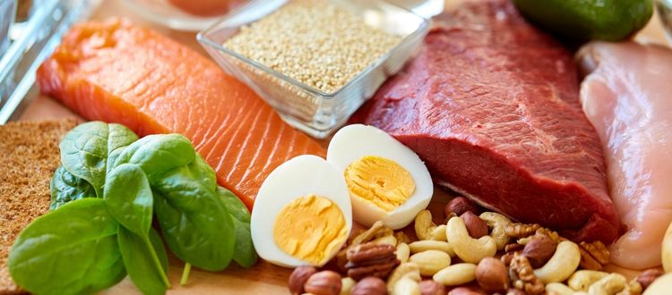 Foods Containing Protein