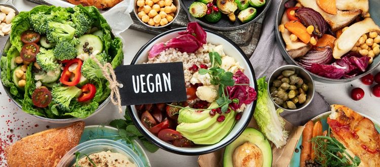 Foods Containing Protein